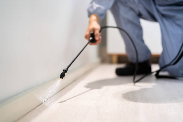 Licensed Termite Control service in Wayne County County, TN - Nex Pest Control