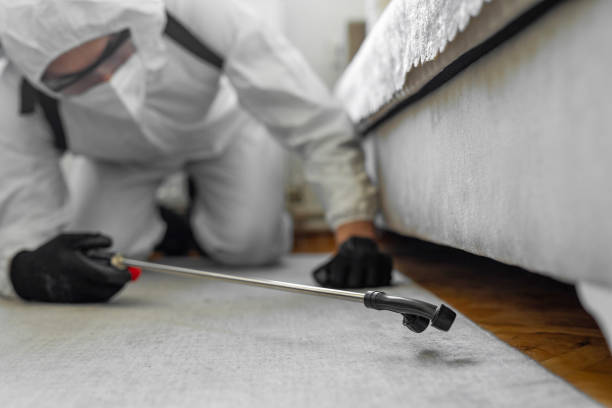 Professional Termite Control technician working in Wayne County County, TN
